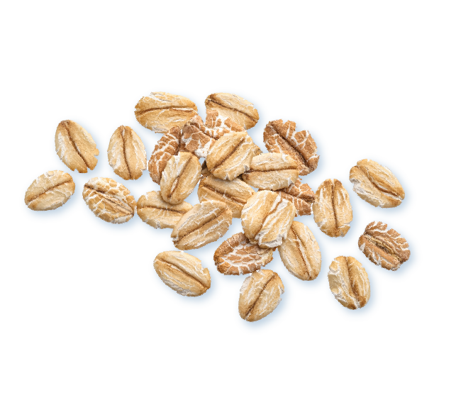 Tally Toddler Organic Oats